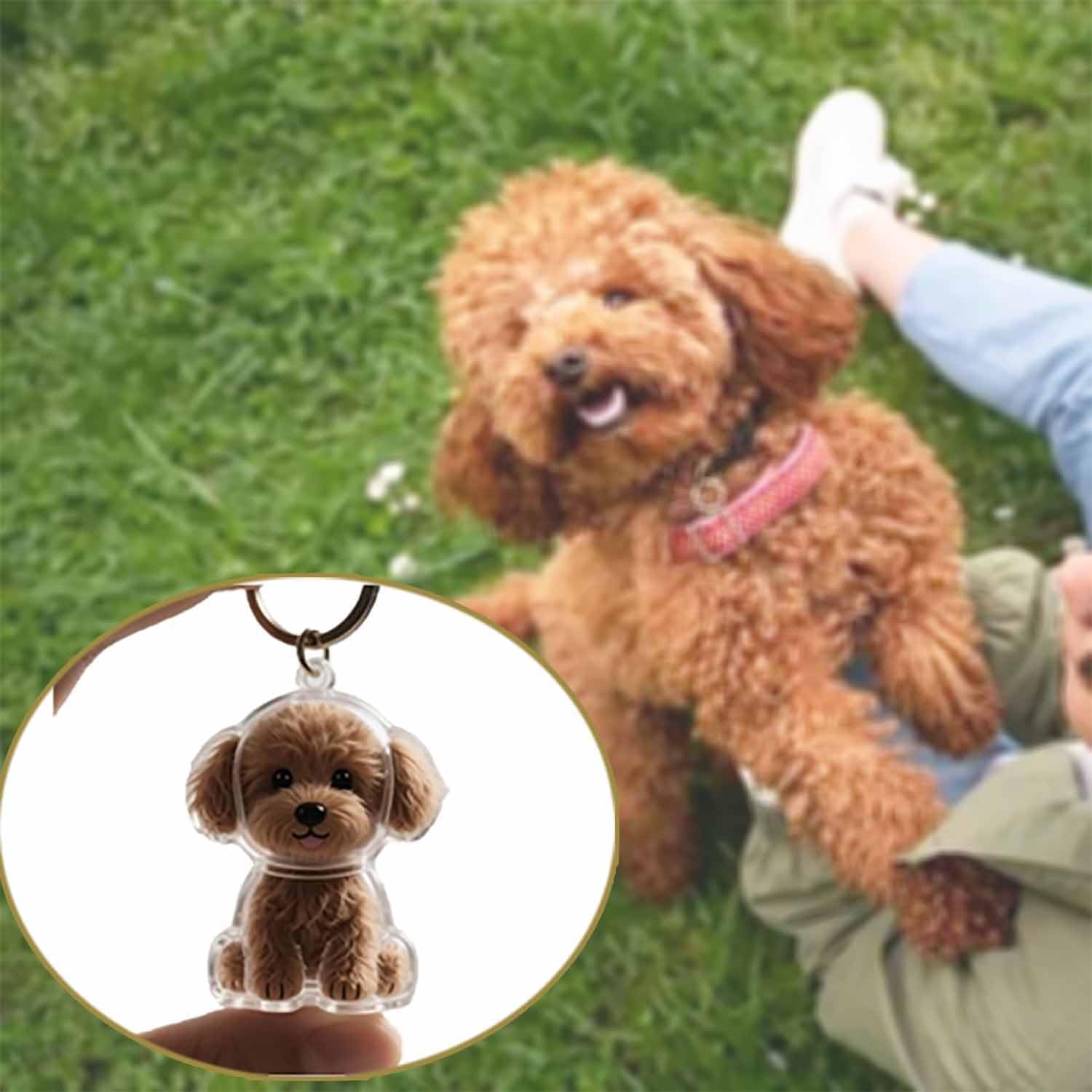Przezroczysty wisiorek pamięci – Pet Supplies Outlet recenzja i cena