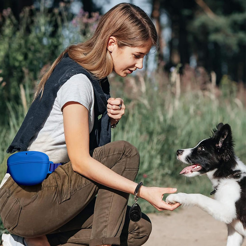 Silikonowa torba na smakołyki  – Pet Supplies Rewards recenzja i cena
