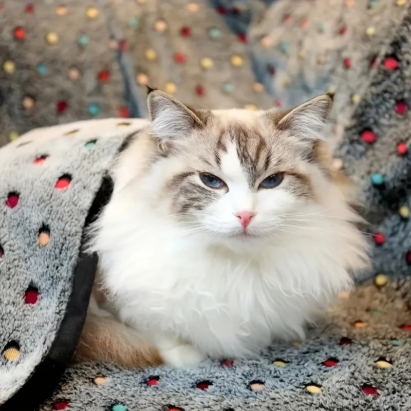 3 SZTUKI Miękki Puszysty Koc d – Pet Supplies Outlet recenzja i cena